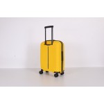 PP SUITCASE-P30