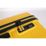 PP SUITCASE-P30